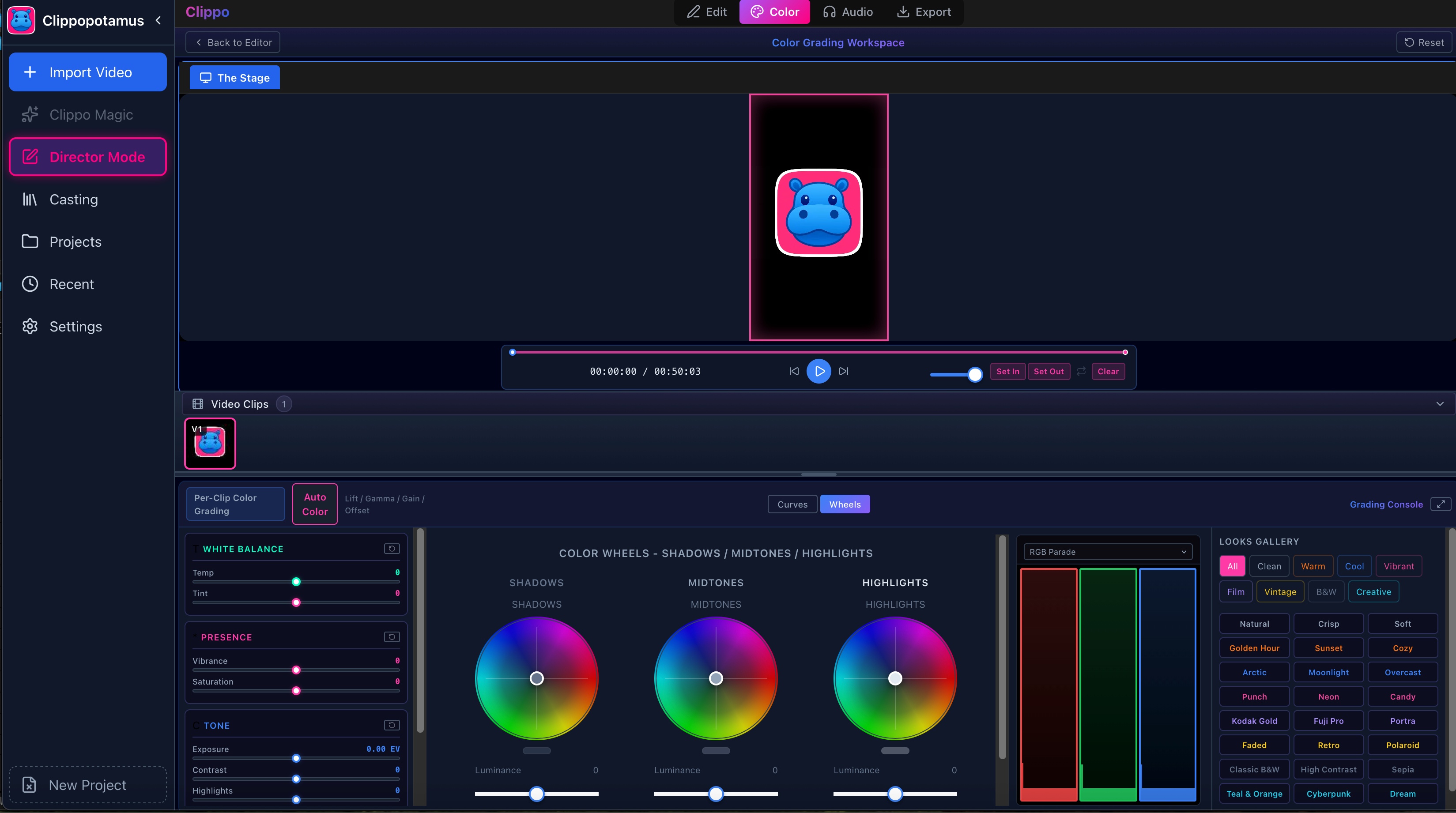 Color interface: wheels, scopes and looks