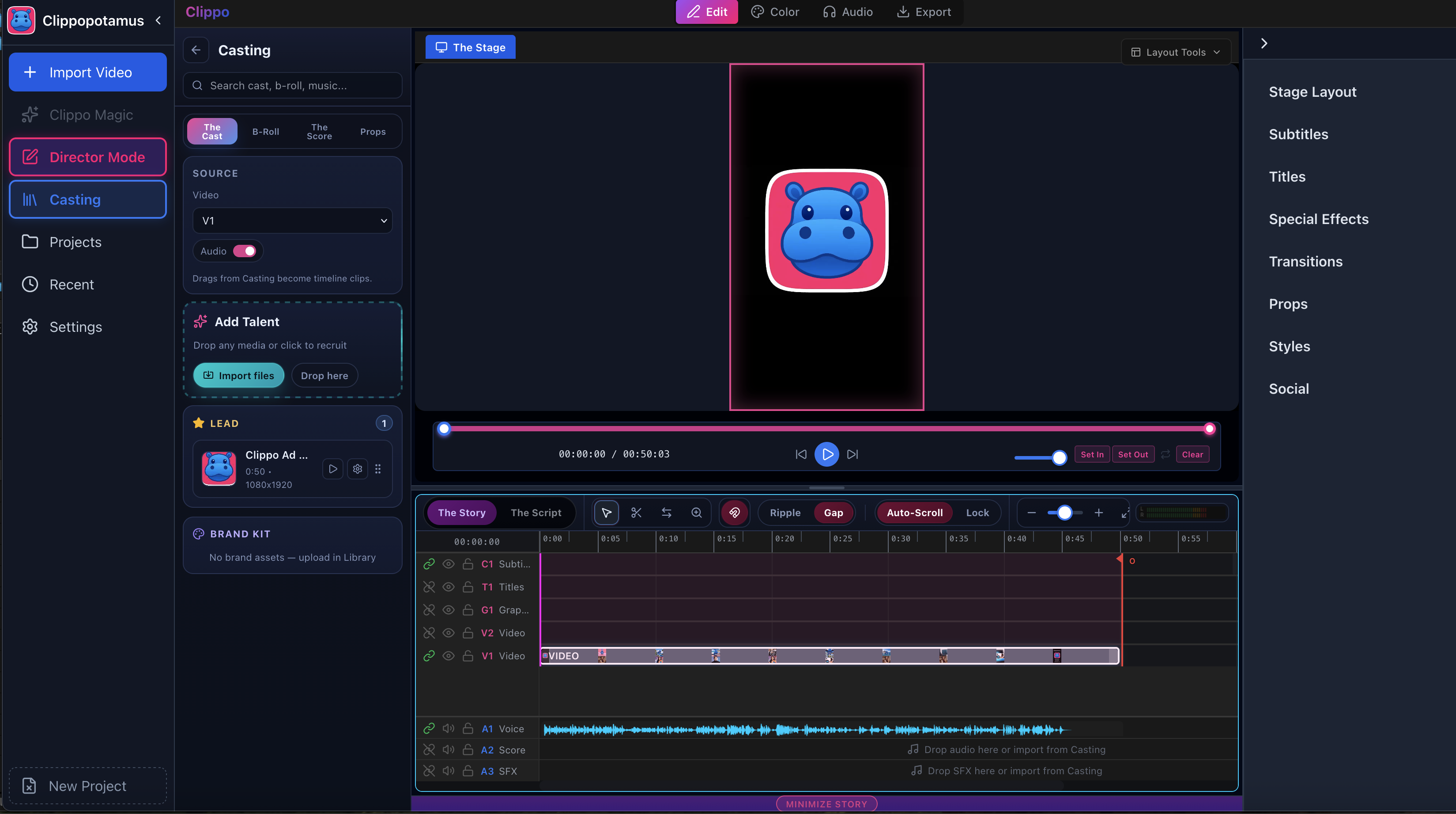 Director — Full audio/visual controls