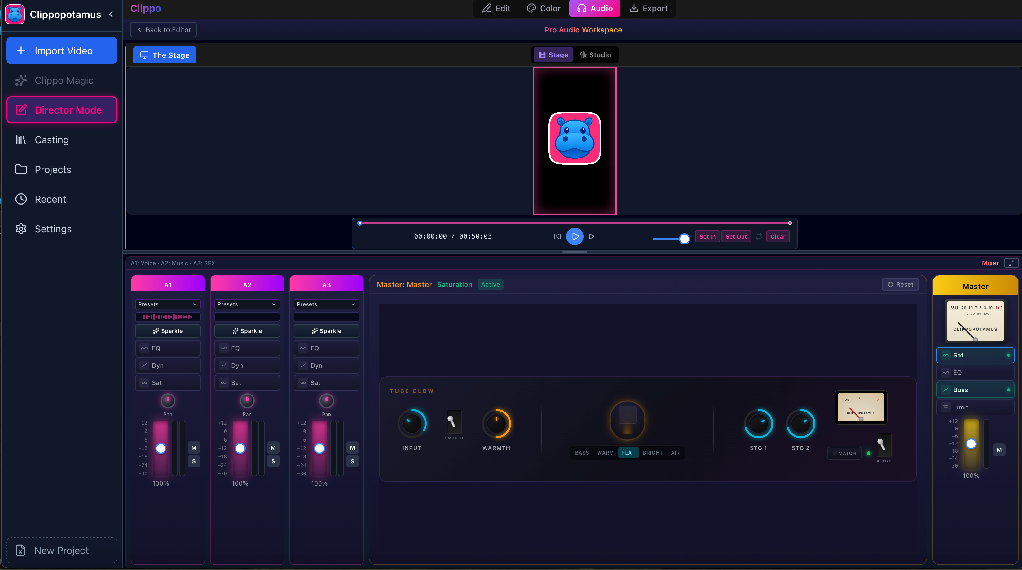 Pro Audio Workspace: track and master controls